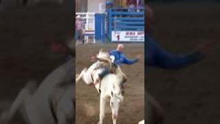 Amazing Bronco Ride! #short #shorts #shortvideo #shortsfeed #viralvideo #viralshorts #horse #travel