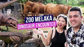 Zoo Melaka & Dinosaur Encounter | Things to do in Melaka