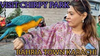 Unbelievable Parrot Interactions at Chirpy Park Bahria Town, Karachi!  | Kakatoo, Macaw & Amazon