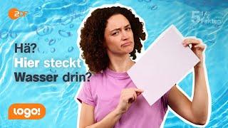 Virtuelles Wasser: Was es bedeutet und wo es drinsteckt | 5½ Fakten