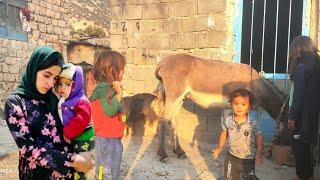 The nomadic life of an Iranian woman in a rented cottage