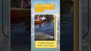 Top 6 Things To Do In Southwest Florida