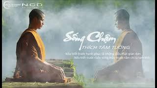 SỐNG CHẬM - THẦY THÍCH TÂM TƯỜNG | LYRIC VIDEO| NẾU BIẾT TRƯỚC HẠNH PHÚC LÀ NHỮNG ĐIỀU THẬT GIẢN ĐƠN