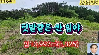 NO.446.두릅농장8,264㎡(2500)   경영관리사건물 50㎡(15) 건축허가득.  전체면적10,992㎡(3325) 포장도로접