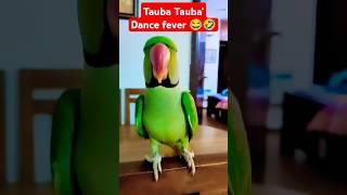 Tauba Tauba' Dance fever . #shorts #parrot #funny #cute