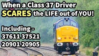 When a Class 37 Driver SCARES the LIFE out of YOU..! 37611, 37521, 20901 and 20905 20/06/23