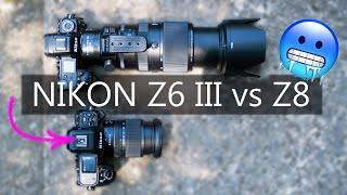 NIKON Z6 III vs NIKON Z8  VERNICHTET auf der Autofokus-Teststrecke?