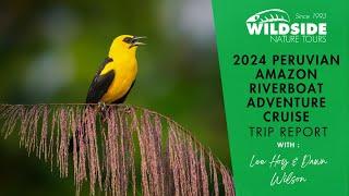 2024 Peruvian Amazon Riverboat Adventure Cruise Trip Report - Wildside Nature Tours