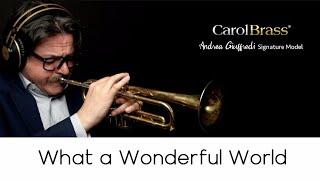 "What a Wonderful World" (Play with Me n.79)  -  Andrea Giuffredi trumpet