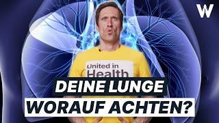 Gesunde Lunge: Alles zu Anatomie, Aufgaben und Auswirkungen auf Deine Gesundheit (einfach erklärt)