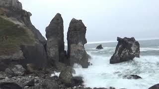 Exploring Sue-Meg, AKA Patrick's Point State Park, California