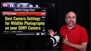 Best Camera Setting for Wildlife Photography