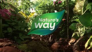 Nature's Way Alive Multivitamins