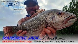 Nqabara Eco River Lodge, Fishing for River Snapper, Mangrove Jacks with some 4x4 driving!