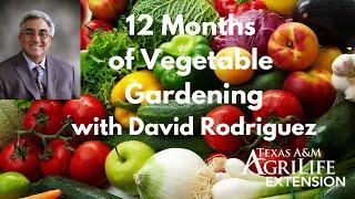 12 Months of Vegetable Gardening by David Rodriguez