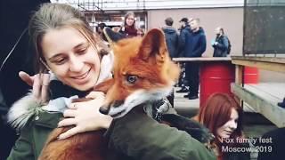 Fox family fest in Moscow, Лисофестиваль в Москве 2019