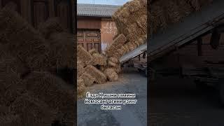 лайк босканди умрига рискига барака берсин #аллох #аминь #лайки #лайк #тикток #тренд #юмор #смех