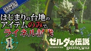 #1【BotW/温習編】はじまりの台地を出るまでにライネルを討伐する所から始まる新たな物語【ゼルダの伝説　ブレス オブ ザ ワイルド】