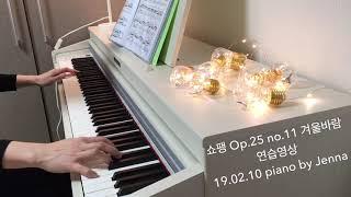 쇼팽 Op.25 no.11 겨울바람 피아노 연습영상