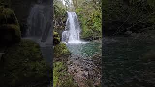 Small creek, big beautiful waterfall!  #nature #oregoncoast