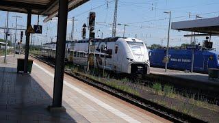 Eisenbahnverkehr in Karlsruhe und Mannheim HBF Mit Br 406 412 463 146 425 101 410 186 185 294 193