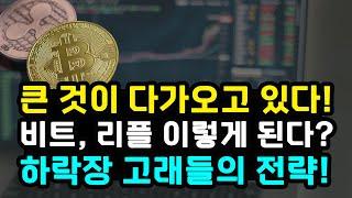 비트코인 리플 "CPI 발표 후 반등한 BTC" XRP 하락장세에서 매집한 고래들 12월 중요한 이벤트 소화하고 랠리 가는 걸까?