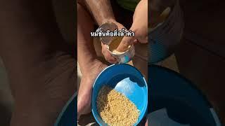 วิธีเอาตัวรอดในคุกไฮโซปิงแลน￼ด์ #หนมน้า #วัยหนุ่ม2544 #ไฮโซปิงแลนด์