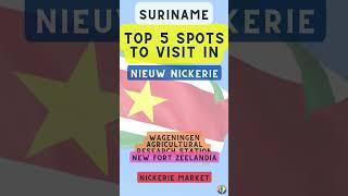 Top 5 Spots to Visit in Nieuw Nickerie (Suriname)