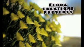 Flora creation presents