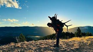 2024 Montana Elk 8 Miles In the Backcountry