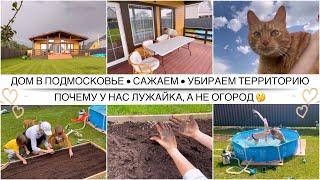 Дом в Подмосковье / Почему у нас газон, а не огород / У всех всё идеально, кроме меня / Сажаем