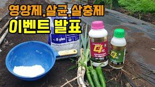 엽면시비용 지효성비료 하이파케이플러스 유기농 다싹 살균.살충제 이벤트 발표