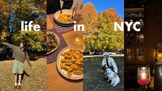 A few autumn days in NYC  | a day trip up north, cozy meals, and Central Park jazz