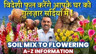 विदेशी फूल करेंगे आपके घर को गुलज़ार सर्दियाँ में || Soil mix to Flowering || A-Z Information