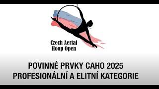 CAHO 2025 POVINNÉ PRVKY PROFESIONÁLNÍ A ELITNÍ KATEGORIE