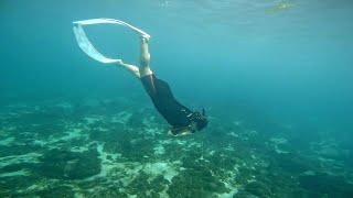 보라카이 호핑투어 프리다이빙 스노클링 스킨다이빙 boracay boracayfreedive boracayfreediving boracaydiving