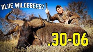 .30-06 vs Wildebeest [DROPPED with Perfect Shot Placement]