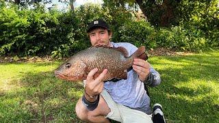 HUGE MANGROVE JACK, HUGE BARRAMUNDI - TOWNSVILLE FISHING IS CRAZY