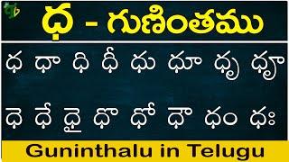 ధ గుణింతం | Ddha gunintham | How to write Telugu Ddha guninthalu | Telugu varnamala Guninthamulu