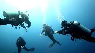 Ocean Reef Full Mask Training with Active Blue Diving Centre