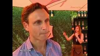 Tony Goldwyn - the Fifth-Annual Veuve Clicquot Polo Classic, LA (Interview)