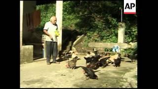 Yellow scorpions invade a Brazilian town