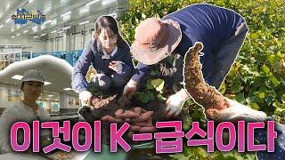 ▶공무원 VLOG/항시근무중◀ 이것이 K-급식이닷! (농식품유통과 급식지원팀)