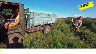 Летние хлопоты в сибирской деревне. Омск Москаленки.