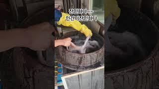 문어#맛있게삶는법#청주우천불고기 #찬옥이자유tv