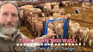 Tearing Down Walls & Changes On Our Sheep Farm During Lambing Season