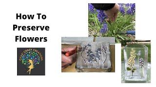 How To Preserve Flowers