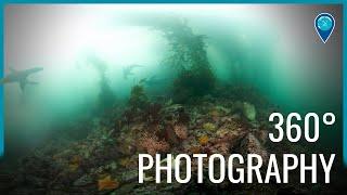 360 Photography in Monterey Bay National Marine Sanctuary