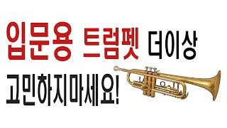 입문용 트럼펫, 더이상 고민하지마세요! 미국명품 캐논볼 95만원