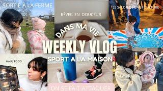 On se fait attaquer  en direct !!, Haul food, Sport à la maison,Motivation,Routine..| WEEKLY VLOG